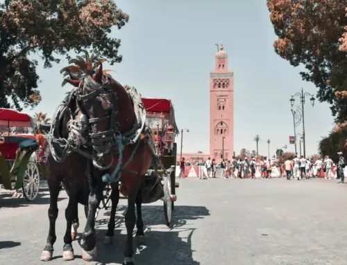 Les Meilleures Périodes pour Louer une Villa à Marrakech